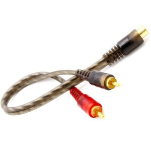 كبل نقاصة 2 ذكر اكاي 1 انثى اكاي