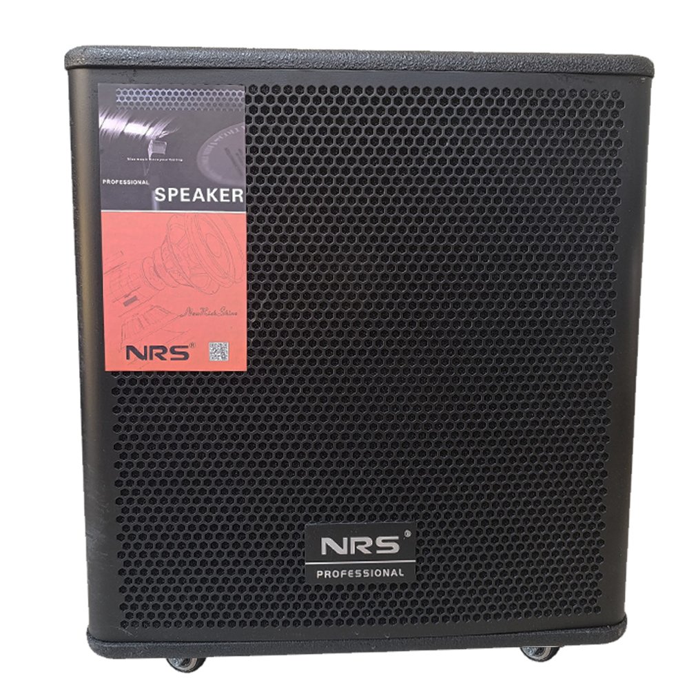 بفل اذاعي مع مضخم 12 انش + كونلوم NRS DS 2002 560 W - Image 5