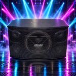 طقم بفل اذاعي 10 انش 2* 280 وات VLLIODOR V 1000