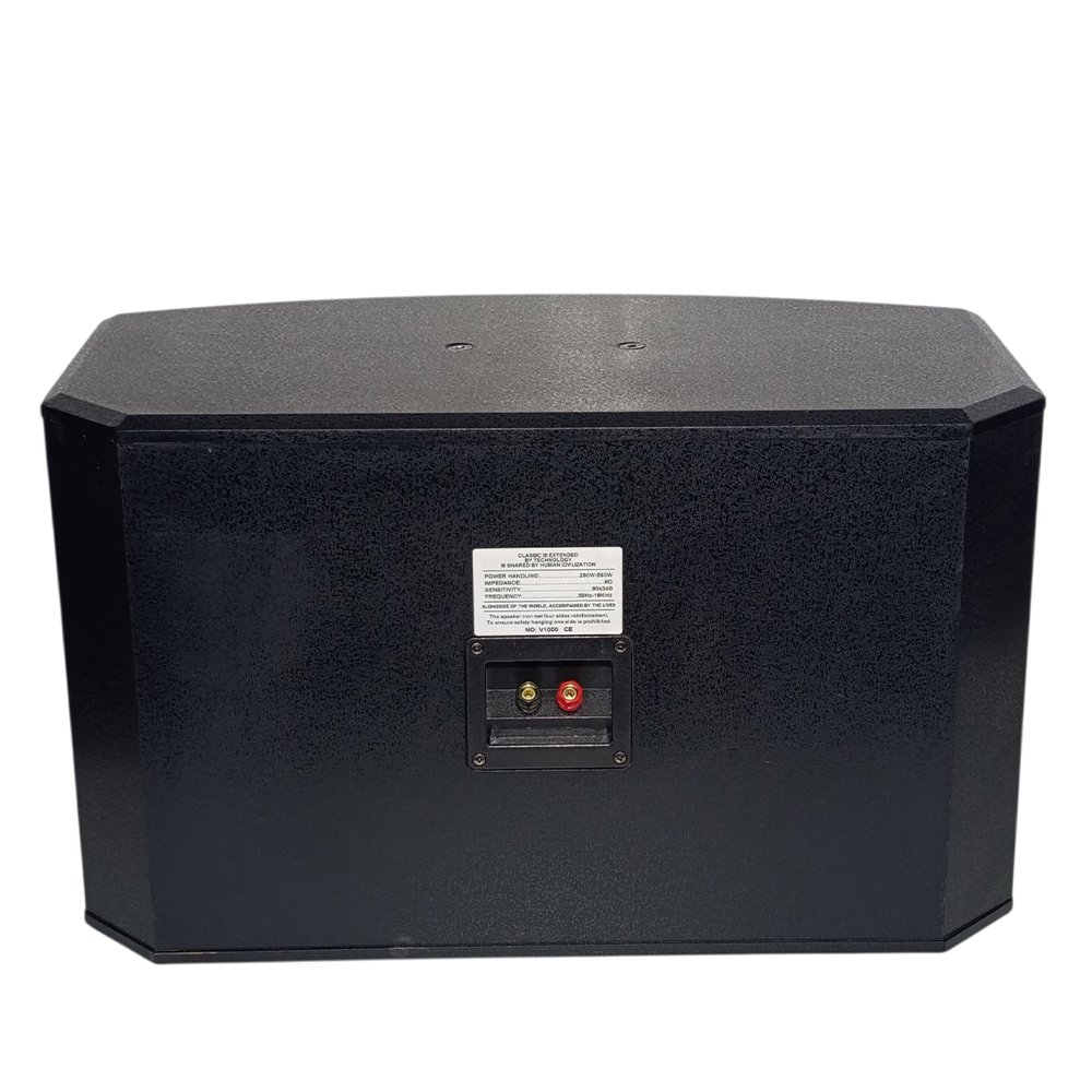 طقم بفل اذاعي 10 انش 2* 280 وات VLLIODOR V 1000 - Image 2