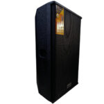 طقم بفل اذاعي  15 انش 2 * 500  وات    Vlliodor  PS 015 A