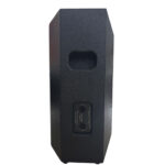 طقم بفل اذاعي 10 انش 2 * 280 وات Vlliodor PS 010 A
