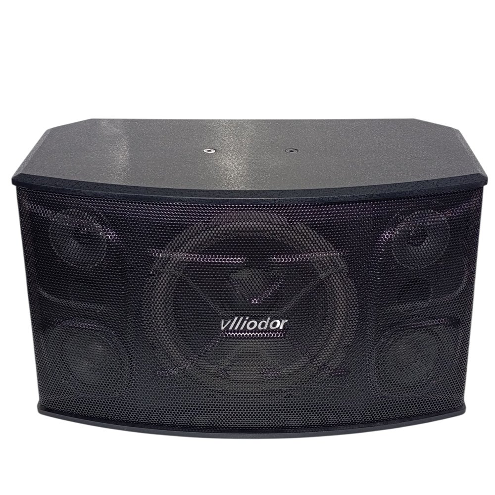 طقم بفل اذاعي 10 انش 2* 280 وات VLLIODOR V 1000 - Image 4