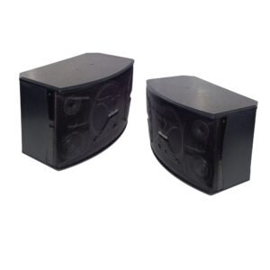 طقم بفل اذاعي 10 انش 2* 280 وات VLLIODOR V 1000