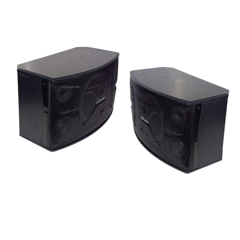 طقم بفل اذاعي 10 انش 2* 280 وات VLLIODOR V 1000